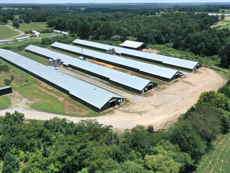 Baileyton Farms : Baileyton : Cullman County : Alabama