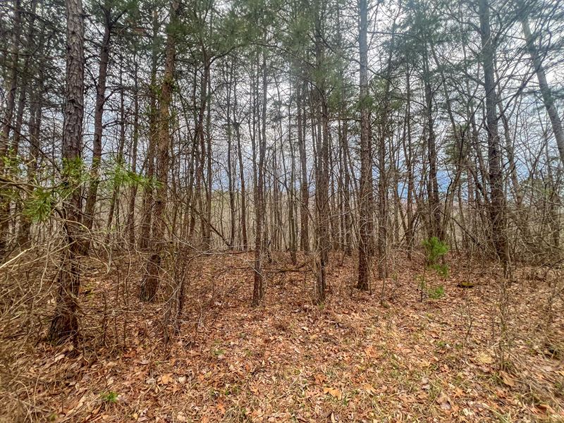 Ponetown Rd Lot 2 7.4 : Ray : Vinton County : Ohio