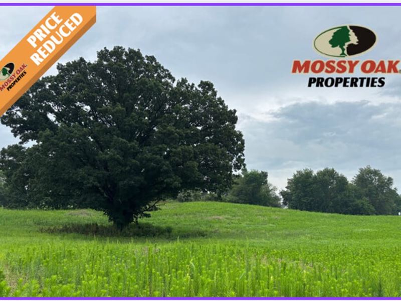 26 Acres of Pristine Hunting Ground : Manitou Beach : Lenawee County : Michigan