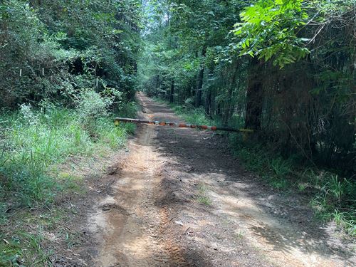 Burnout Road Tract 2 : Brantley : Crenshaw County : Alabama