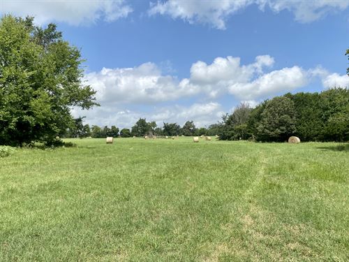 118 Acres of Rolling Cattle Land : Winnsboro : Franklin County : Texas