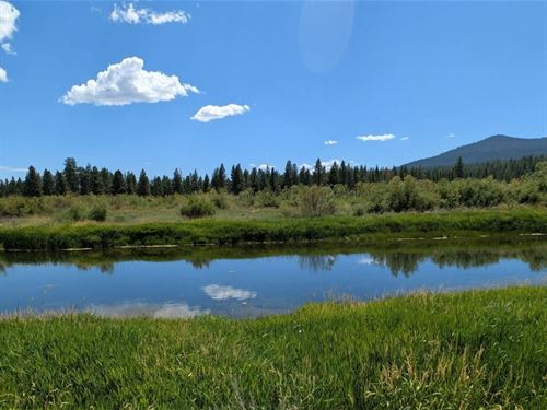 22 Acres, Water Front : Sprague River : Klamath County : Oregon