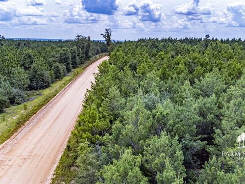 20.9 Ac Lot 1 Homesite All High : Marianna : Jackson County : Florida