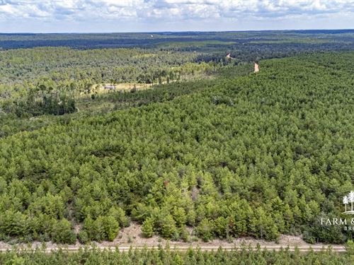 25.5 Ac Lot 1 Rural Retreat, High : Marianna : Jackson County : Florida