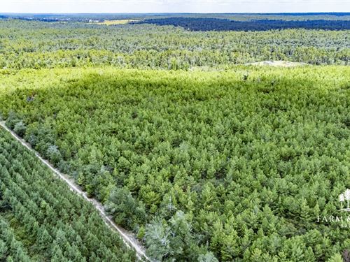 22.7 Ac Lot 2 Rural Retreat, High : Marianna : Jackson County : Florida