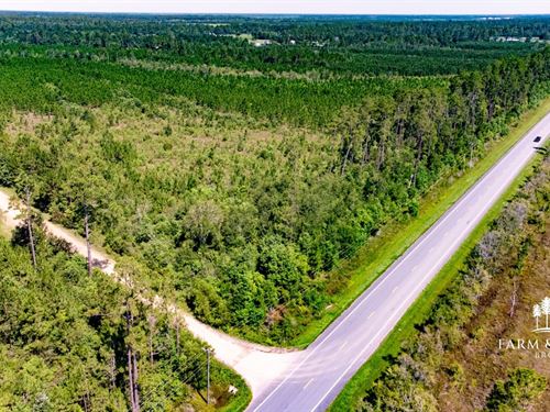 103 Ac Development Opportunity, Re : Wewahitchka : Gulf County : Florida