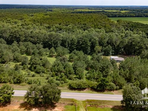 80 Ac Coffee Co, Tight Eye Creek : Enterprise : Coffee County : Alabama