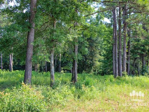 12.5 Ac Coffee Co, County Road 5 : New Brockton : Coffee County : Alabama