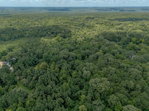 21 Acres in Jefferson County MS : Fayette : Jefferson County : Mississippi