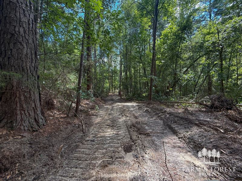 50 Ac Coffee Co, Co Rd 207 NE : Jack : Coffee County : Alabama