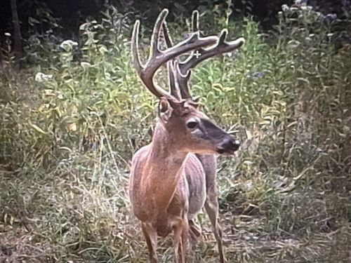 Lost Hollow Lodge : Monticello : Wayne County : Kentucky