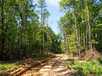 Beautiful 70 Acre Getaway Near : Grandin : Ripley County : Missouri