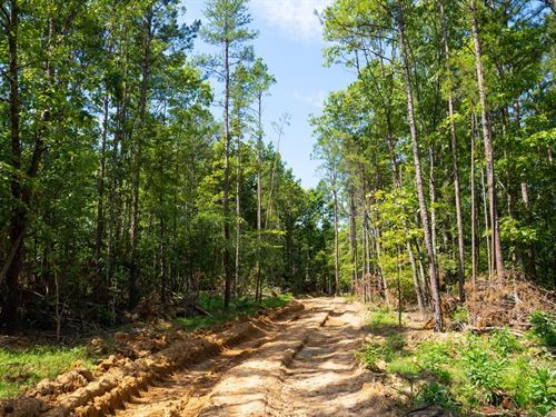 Beautiful 70 Acre Getaway Near : Grandin : Ripley County : Missouri