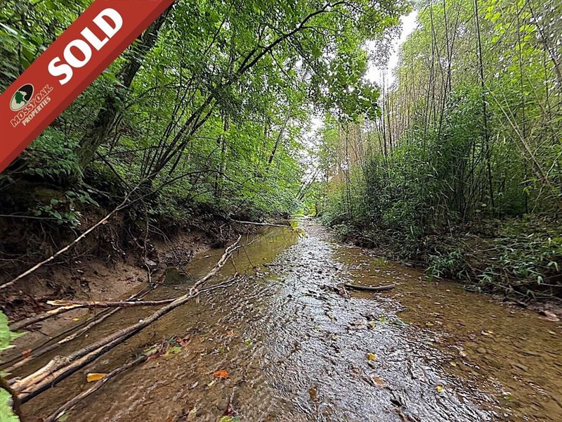 Paw Paw Rd, 7 Acres : Lower Salem : Noble County : Ohio