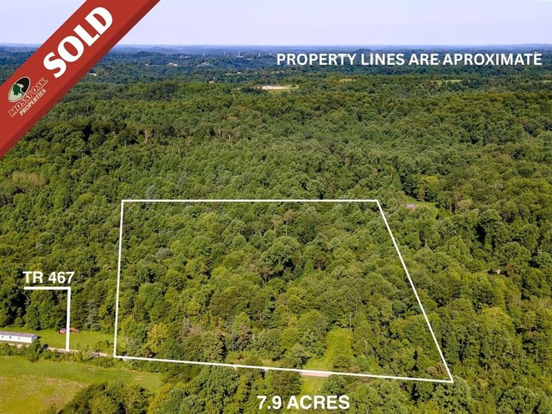 TR 467, 7 Acres : Woodsfield : Monroe County : Ohio