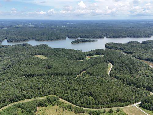 Private 6 Acres Near Lake Russell : Elberton : Elbert County : Georgia