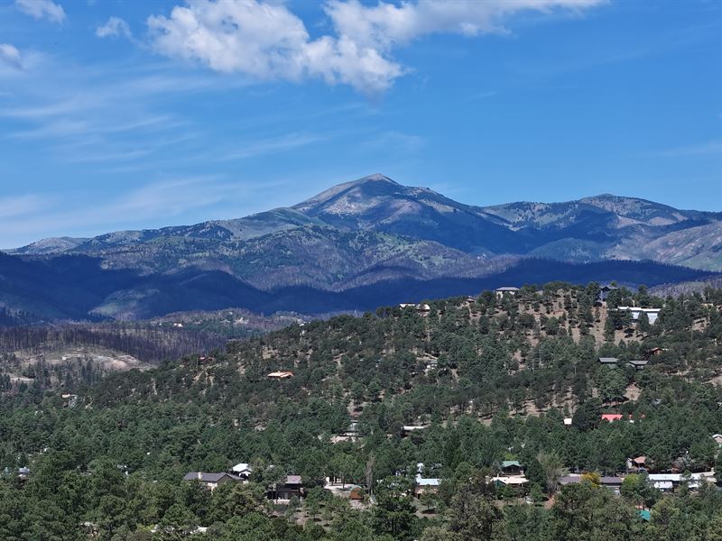 Ruidoso New Mexico Lots for Auction : Ruidoso : Lincoln County : New Mexico