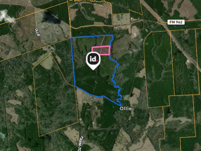 Your Perfect Piece of East Texas : Livingston : Polk County : Texas