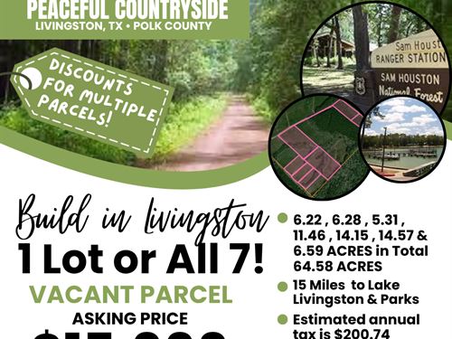 Your Perfect Piece of East Texas : Livingston : Polk County : Texas