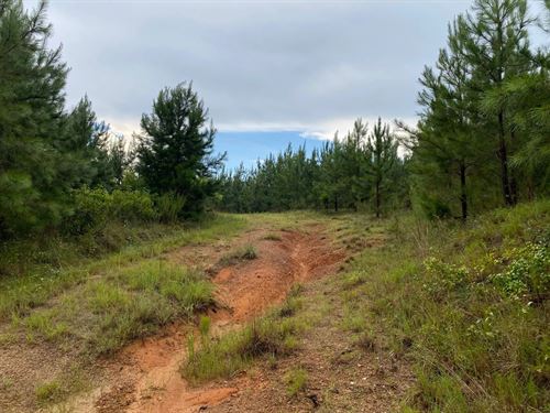 38.47 Acres In Washington County : Bartow : Washington County : Georgia