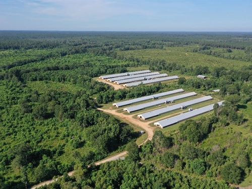 Walker Broiler Ranch : Laurel : Wayne County : Mississippi