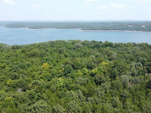 5 Acres Bordering Bull Shoals : Lead Hill : Marion County : Arkansas