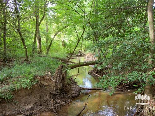 225 Ac Dale Co, Bear Creek : Skipperville : Dale County : Alabama