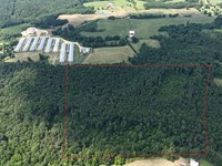 Marion County 49 9 43 Acre Hardwood : Hackleburg : Marion County : Alabama