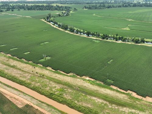 Douglas Farms at Gilliam Louisiana : Gilliam : Caddo Parish : Louisiana