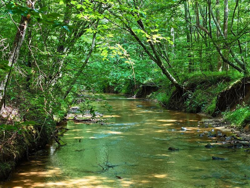 Arrowhead Acres 64 Unrestricted : Bassett : Henry County : Virginia
