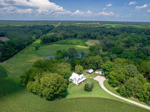 Ballews Bottom : Florence : Lauderdale County : Alabama