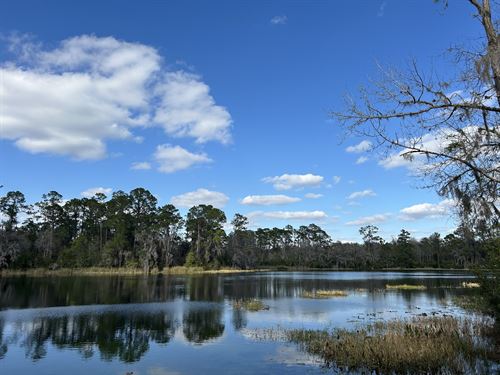 Fox Pen Lakes : Hawthorne : Putnam County : Florida