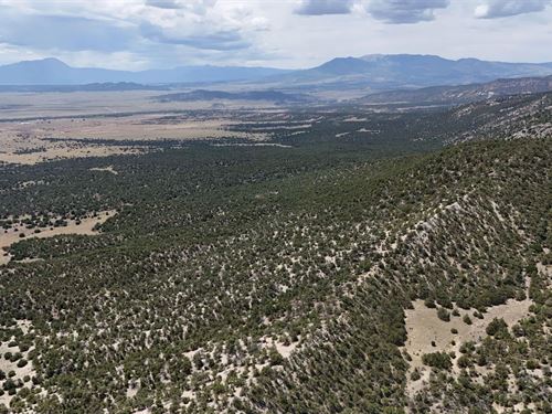 County Road 616, Walsenburg : Walsenburg : Huerfano County : Colorado