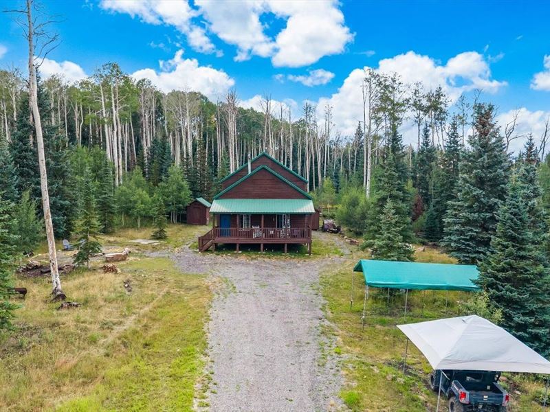 58203 Elk Drive, Montrose, Co 81403 : Montrose : Montrose County : Colorado