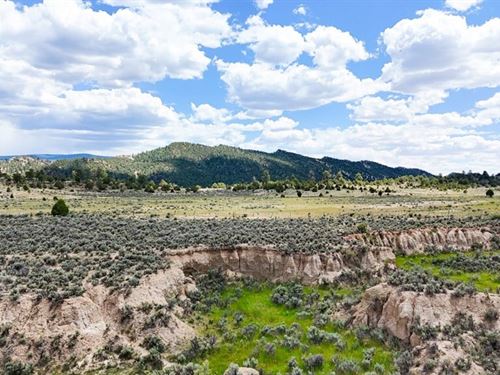 Northcut 80 Ac Sec 25 : Regina : Rio Arriba County : New Mexico