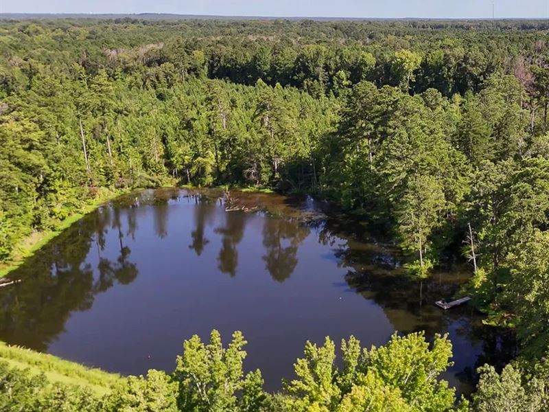 160 Acres with A Lodge in Madison : Camden : Madison County : Mississippi