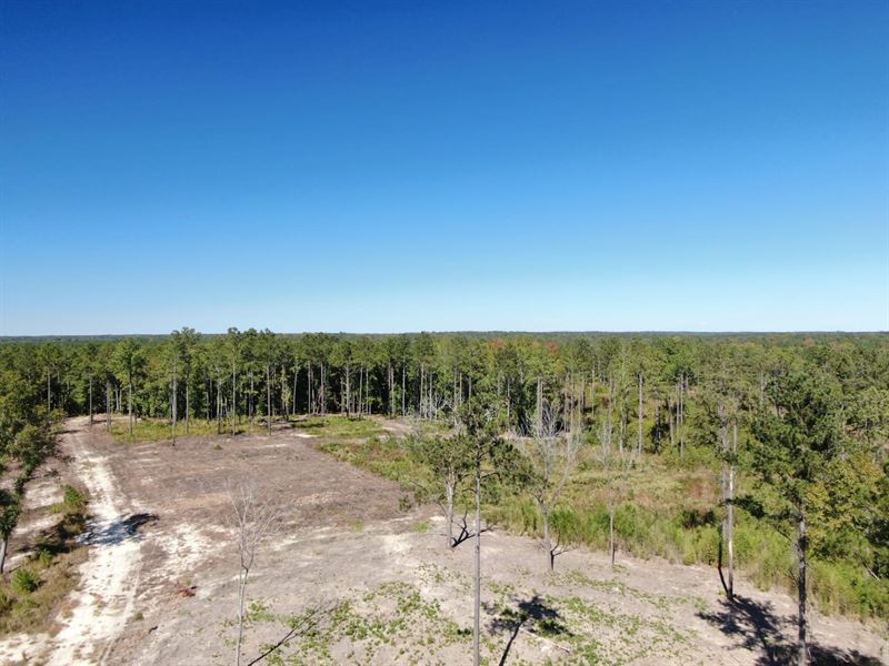 29-132 Weoka Mini-Farm 2 : Wetumpka : Elmore County : Alabama