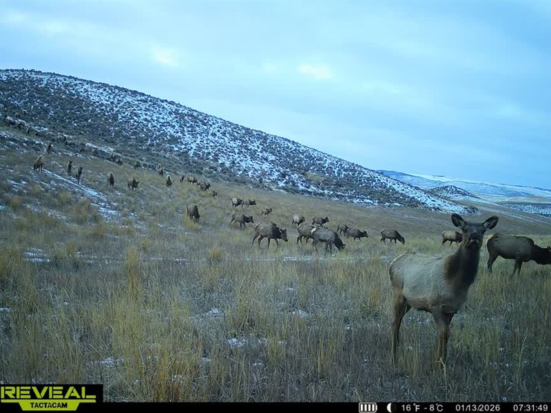 Lake Shadow Ranch : Craig : Moffat County : Colorado