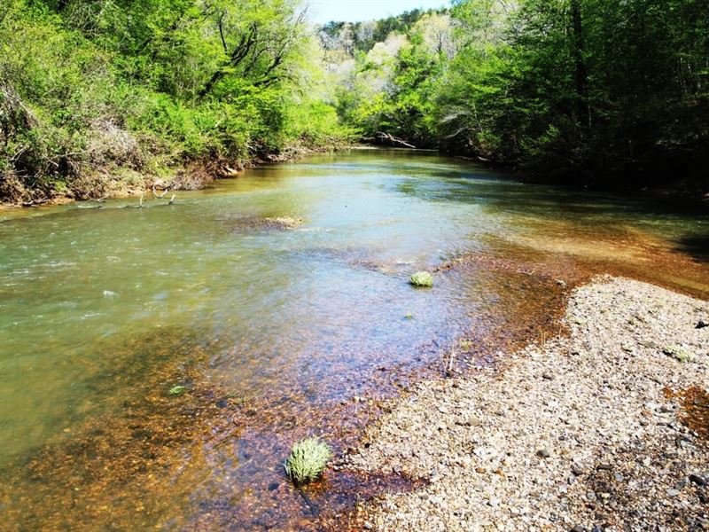 Bear Creek East : Phil Campbell : Marion County : Alabama