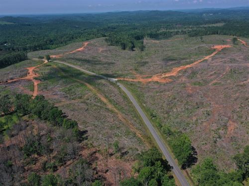 Bluff Springs Tract : Ashland : Clay County : Alabama