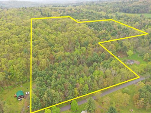 Wooded Property in Unadilla : Unadilla : Otsego County : New York