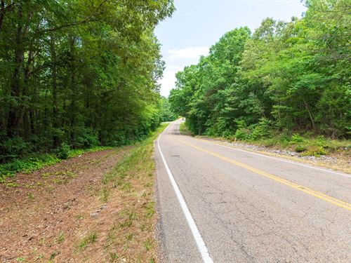 $999 Down Near Electric : Lexington : Henderson County : Tennessee