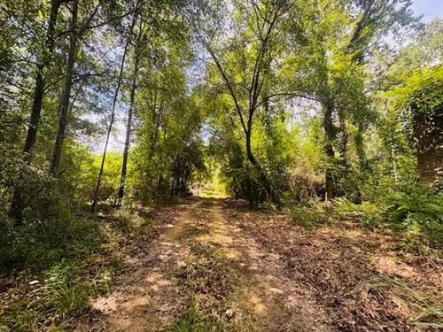 A 34 Undivided Interest In 878 Acr : Angie : Washington Parish : Louisiana