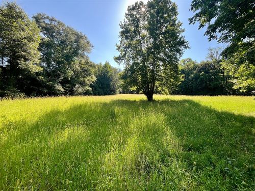 Ryan Tract 680 Acres : Greenville : Butler County : Alabama