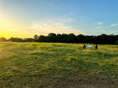Lightning Bug Lane 35 : Goodman : McDonald County : Missouri