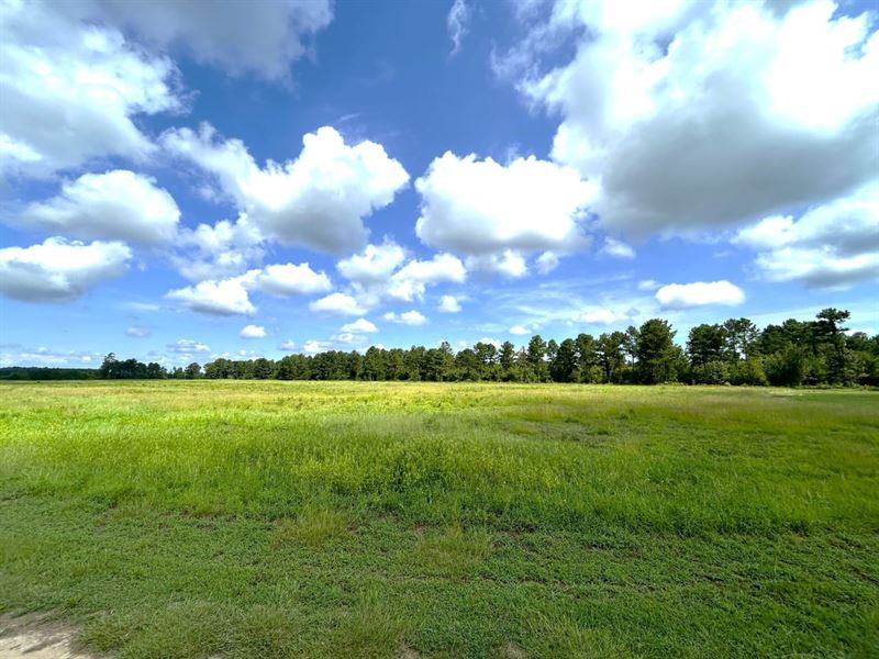 Waddell Farm & Kennels : Sparta : Hancock County : Georgia