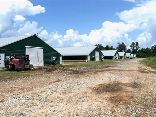 Turnkey Poultry Farm in Heidelberg : Heidelberg : Jones County : Mississippi