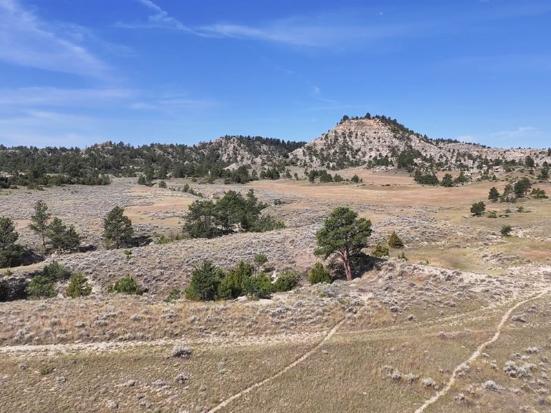 Double Diamond Ranch : Billings : Yellowstone County : Montana