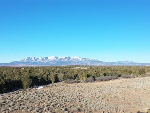 High Desert Haven : Monticello : San Juan County : Utah