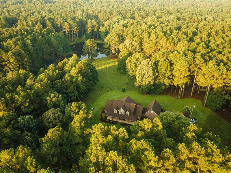 A Home On 42 Acres in Jasper County : Louin : Jasper County : Mississippi